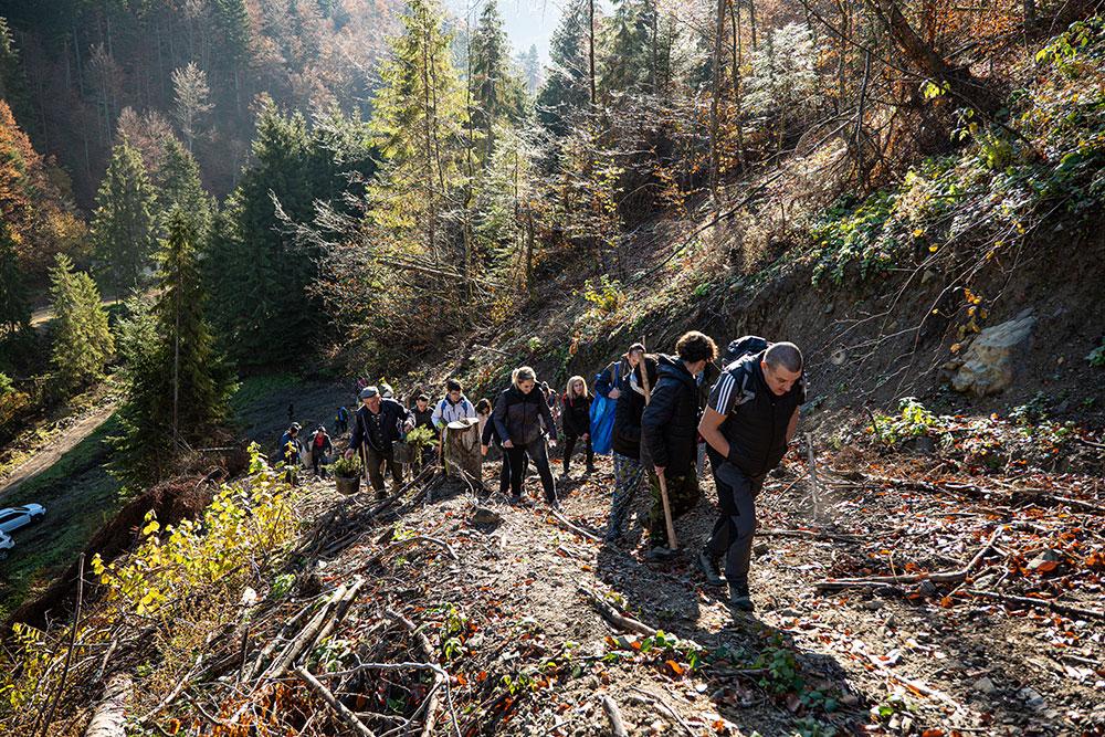 Peste 20 de colegi au plantat Pădurea JYSK la Bucium