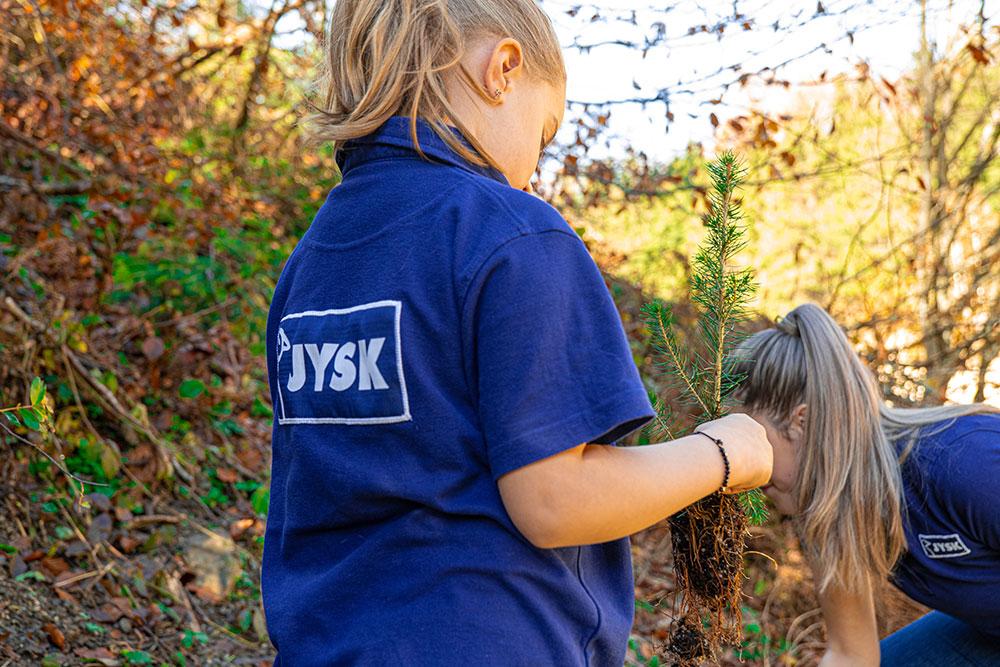 Peste 20 de colegi au plantat Pădurea JYSK la Bucium
