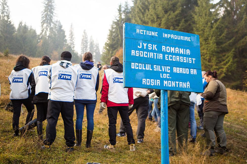 Voluntarii JYSK au impadurit la Rosia Montana