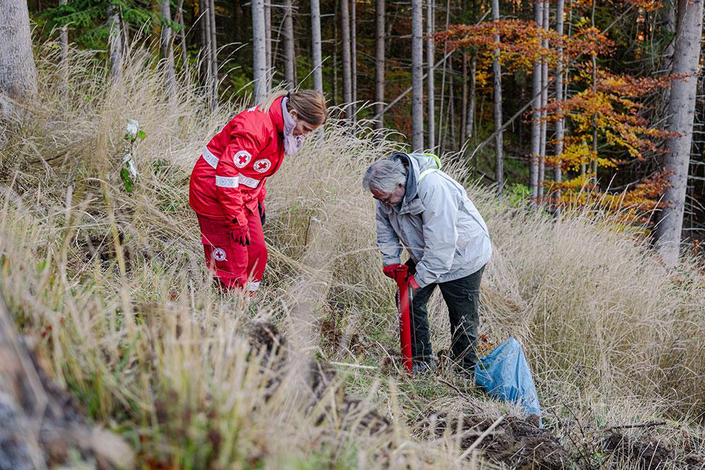 Voluntarii JYSK au dat startul plantării a 26.000 de puieți în județul Sibiu