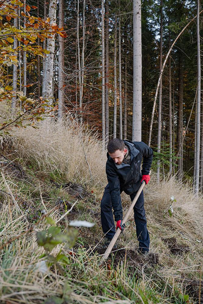 Voluntarii JYSK au dat startul plantării a 26.000 de puieți în județul Sibiu