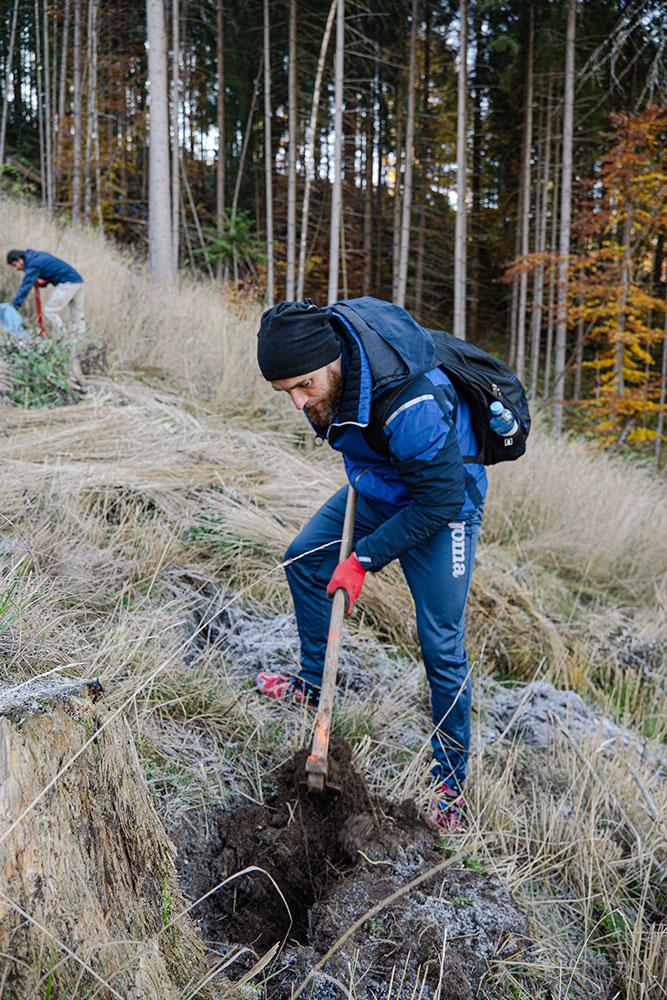 Voluntarii JYSK au dat startul plantării a 26.000 de puieți în județul Sibiu