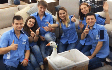 VIDEO: Colleagues wish JYSK congratulations with 2,500 stores