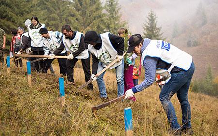 La Roșia Montană, voluntarii JYSK au dat startul sezonului de împăduriri