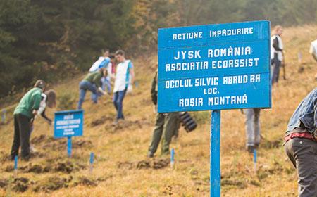 100.000 de copaci plantați la Roșia Montană de JYSK în ultimii 4 ani