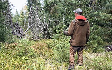 8 ani de parteneriat Plantăm fapte bune în România și JYSK și 178.000 de copaci plantați